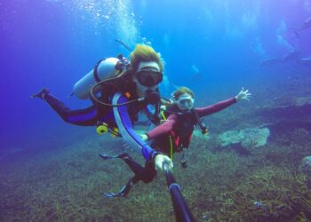 SSI, PADI, etc – which dive agency is the best?