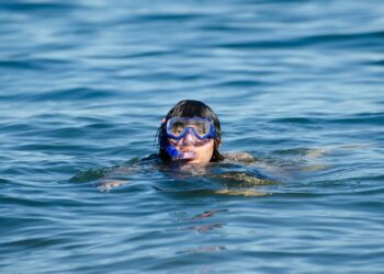 The Great Dive Industry Misconception