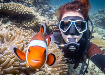 What Goes Into An Open Water Course / Learning to Dive