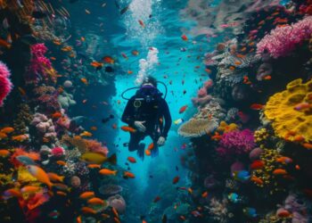 Where can you dive in India?