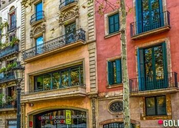 Pool training for the Open Water Course: do at home or on vacation?